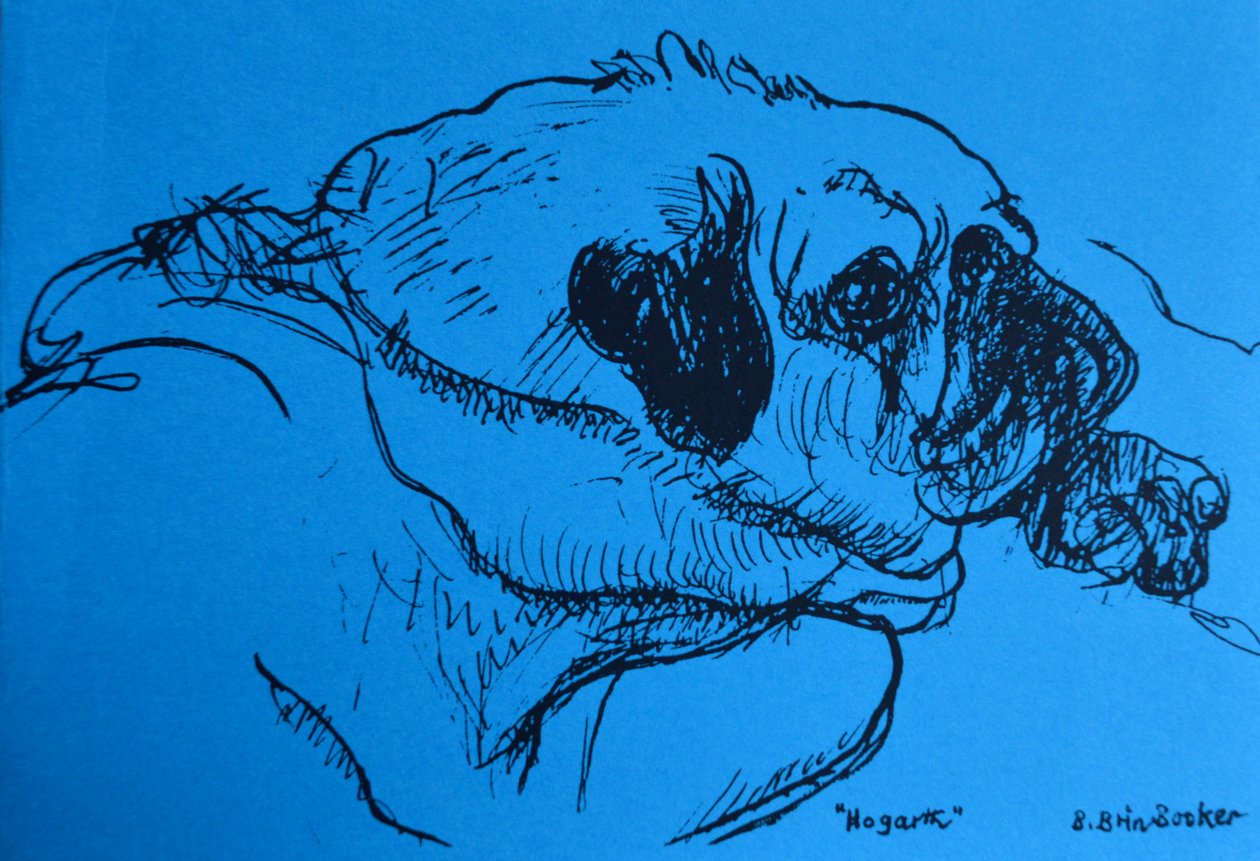 „Hogarth” (atrament na niebieskim papierze) autorstwa Brenda Brin Booker