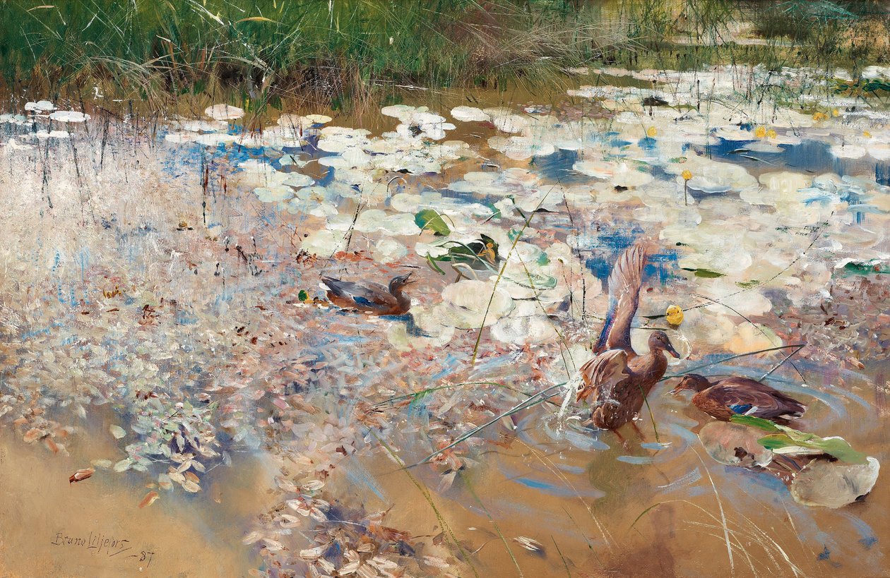 Dzikie kaczki, 1887. autorstwa Bruno Andreas Liljefors