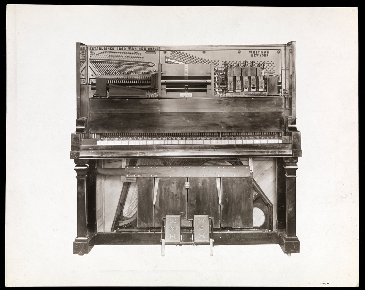 Pianino, 1915-16 (odbitka żelatynowa srebrna) autorstwa Byron Company