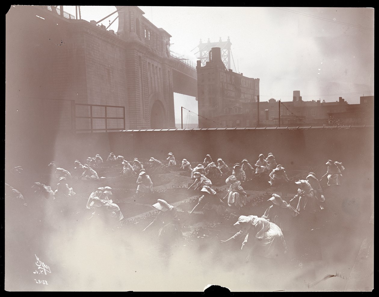Dziewczęta pracujące w ogrodzie warzywnym na dachu, za nimi widoczny most Manhattan, Nowy Jork, 1910 (odbitka żelatynowa) autorstwa Byron Company
