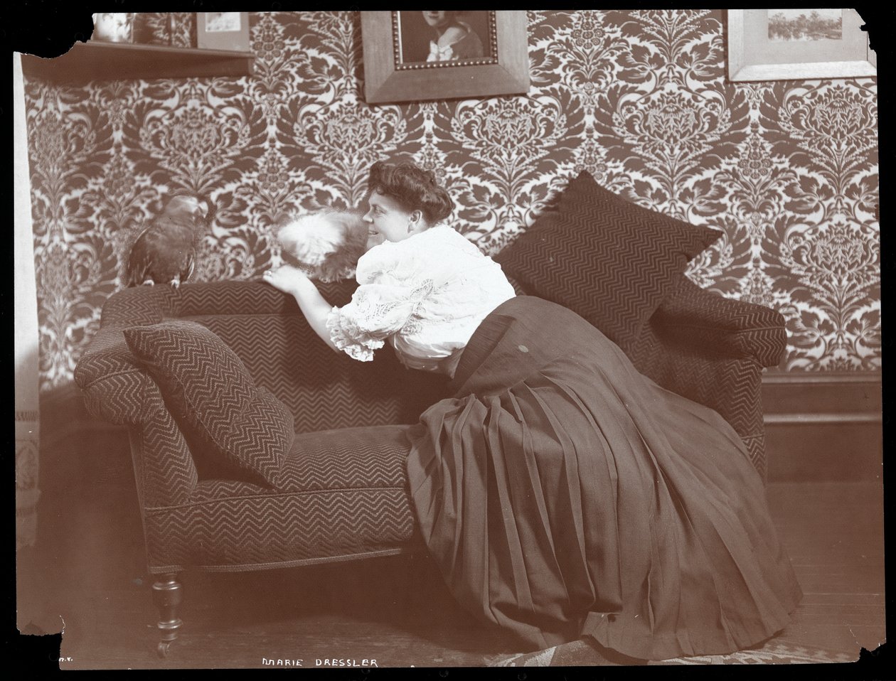 Marie Dressler w domu z psem i papugą, 1905 (odbitka żelatynowa) autorstwa Byron Company