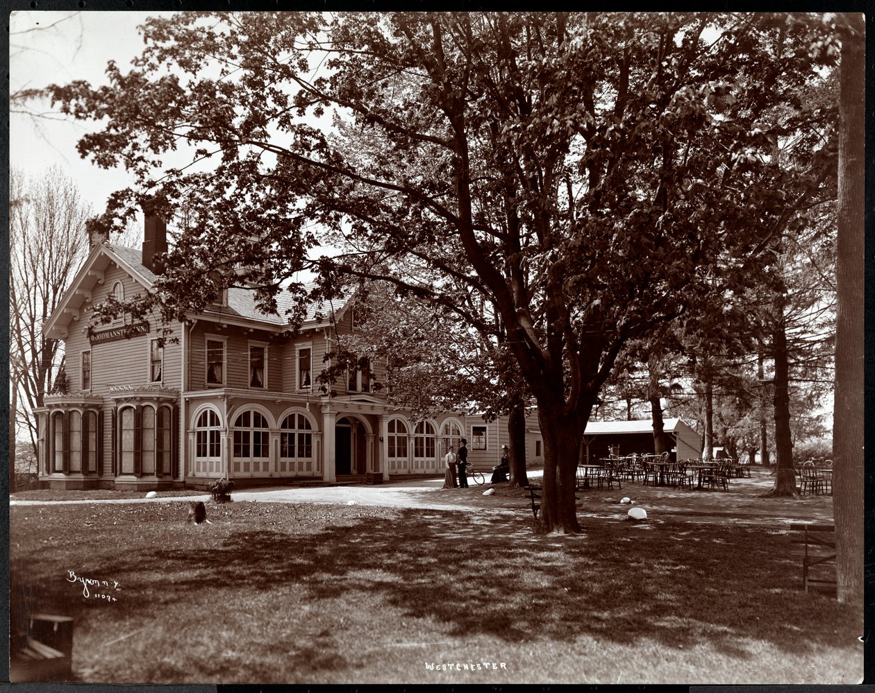 Widok przez drzewa Woodmansten Inn, Westchester, Nowy Jork, 1901 (srebrny odbitka żelatynowa) autorstwa Byron Company
