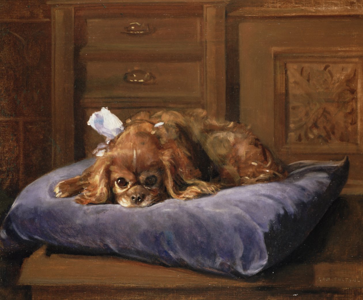 King Charles Spaniel (olej) autorstwa C. Fulton