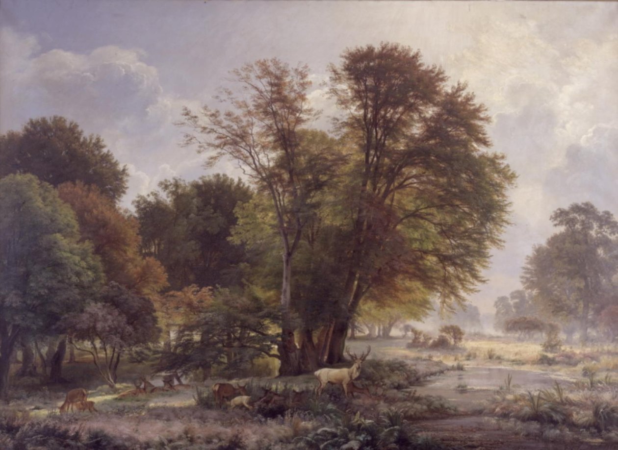 Jesienny poranek w zoo Jægersborg autorstwa C.F. Aagaard
