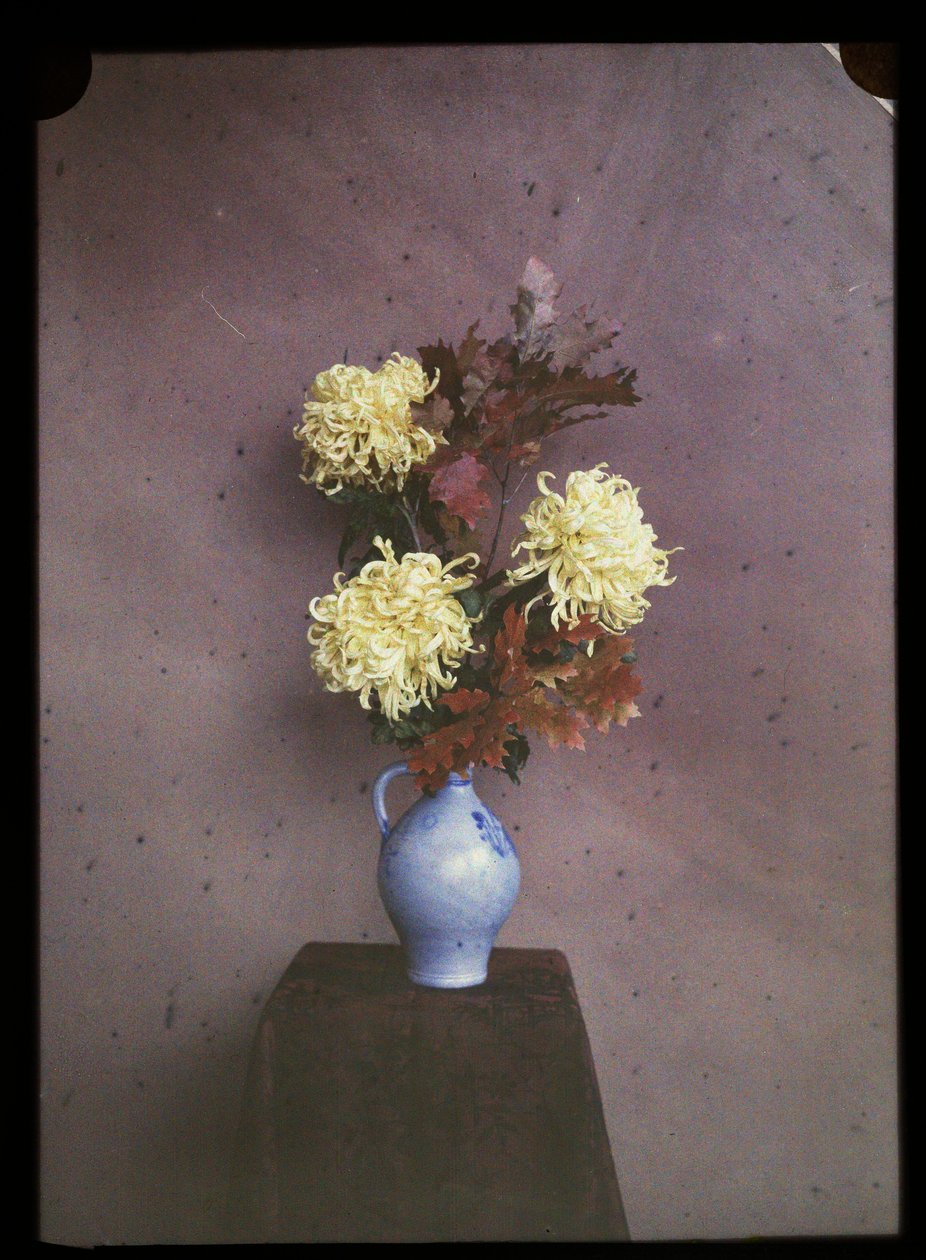 Kwiaty (astry) w wazonie autorstwa C.W. Immink
