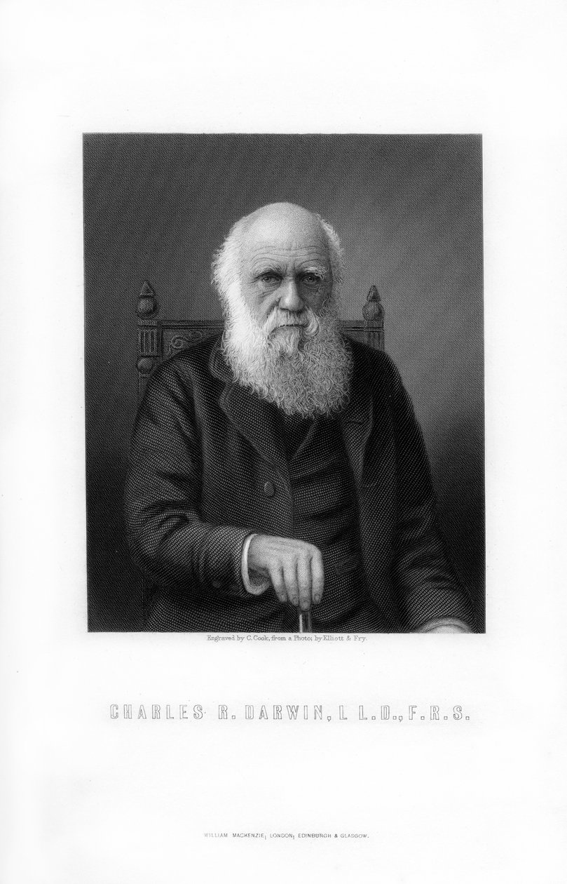 Charles Darwin, brytyjski przyrodnik, 1899. autorstwa C. Cook