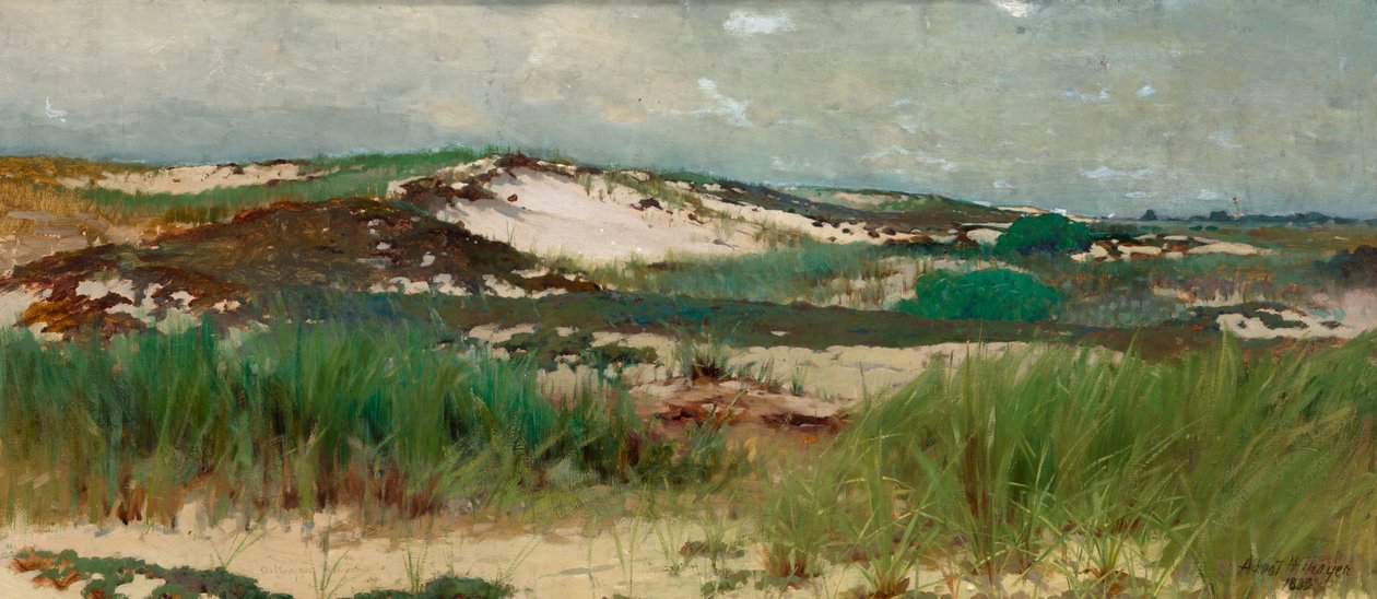 Wydma Nantucket, ca. 1890. autorstwa C. Morgan McIlhenney