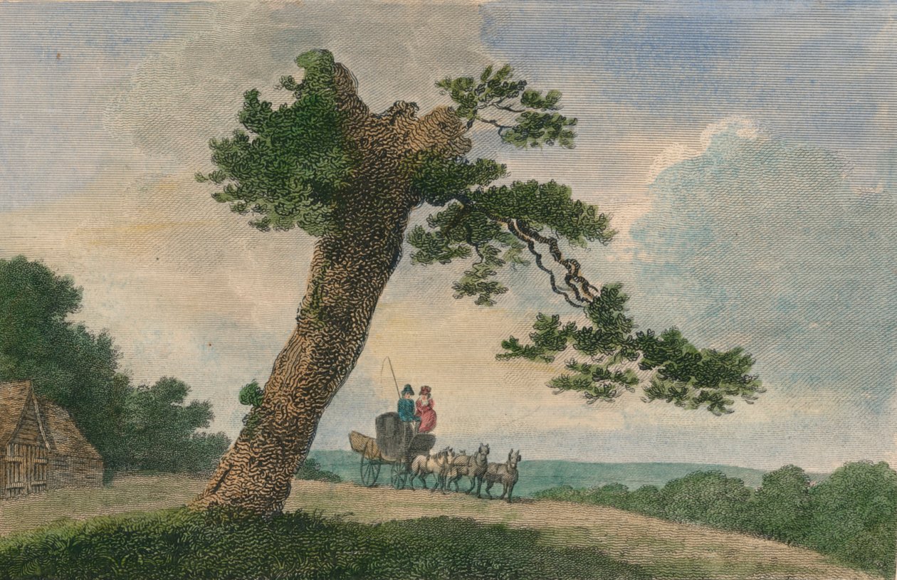 „Temat wiejski”, 1804. autorstwa C Taylor