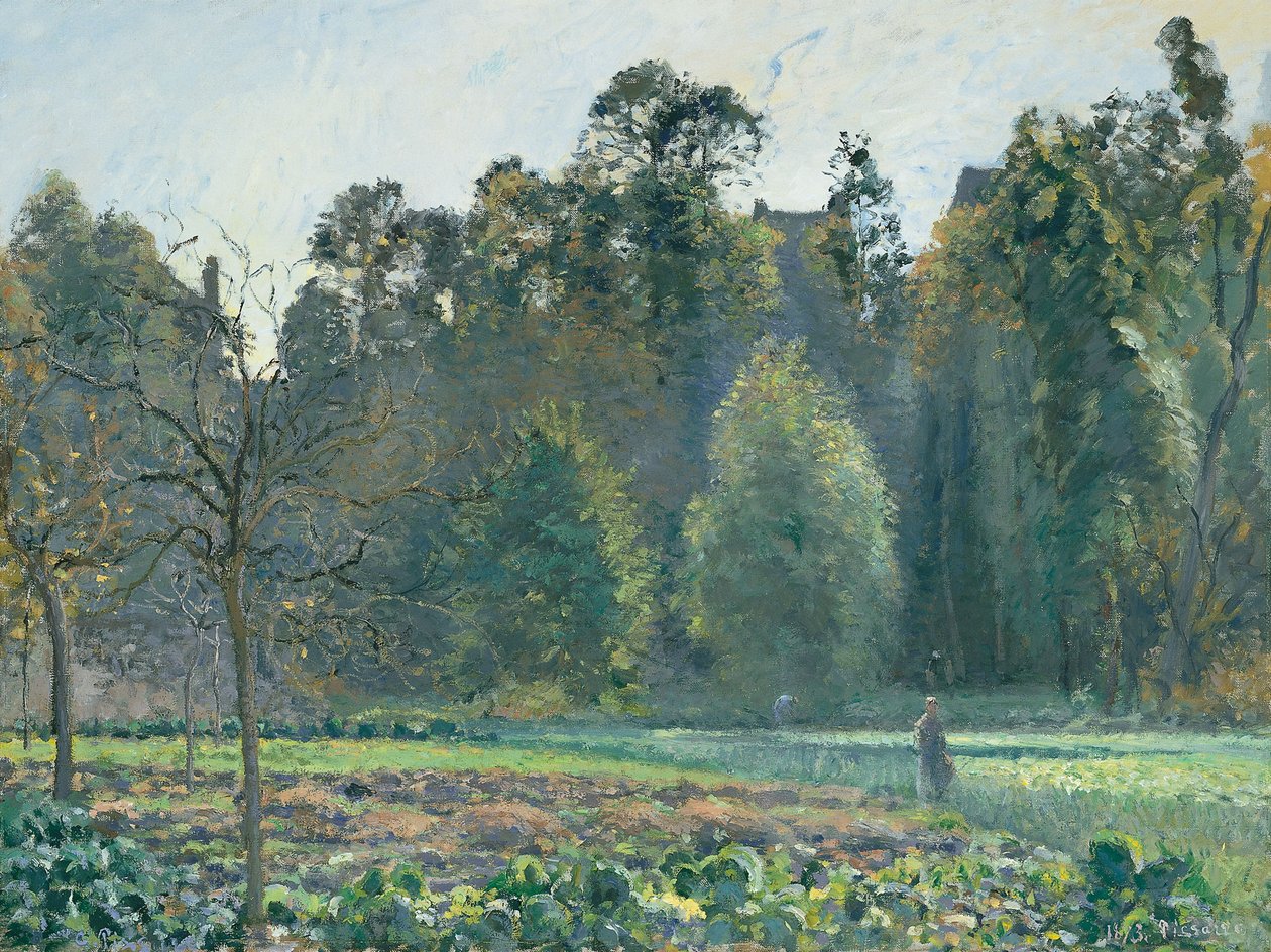 Pole kapusty, Pontoise autorstwa Camille Jacob Pissarro