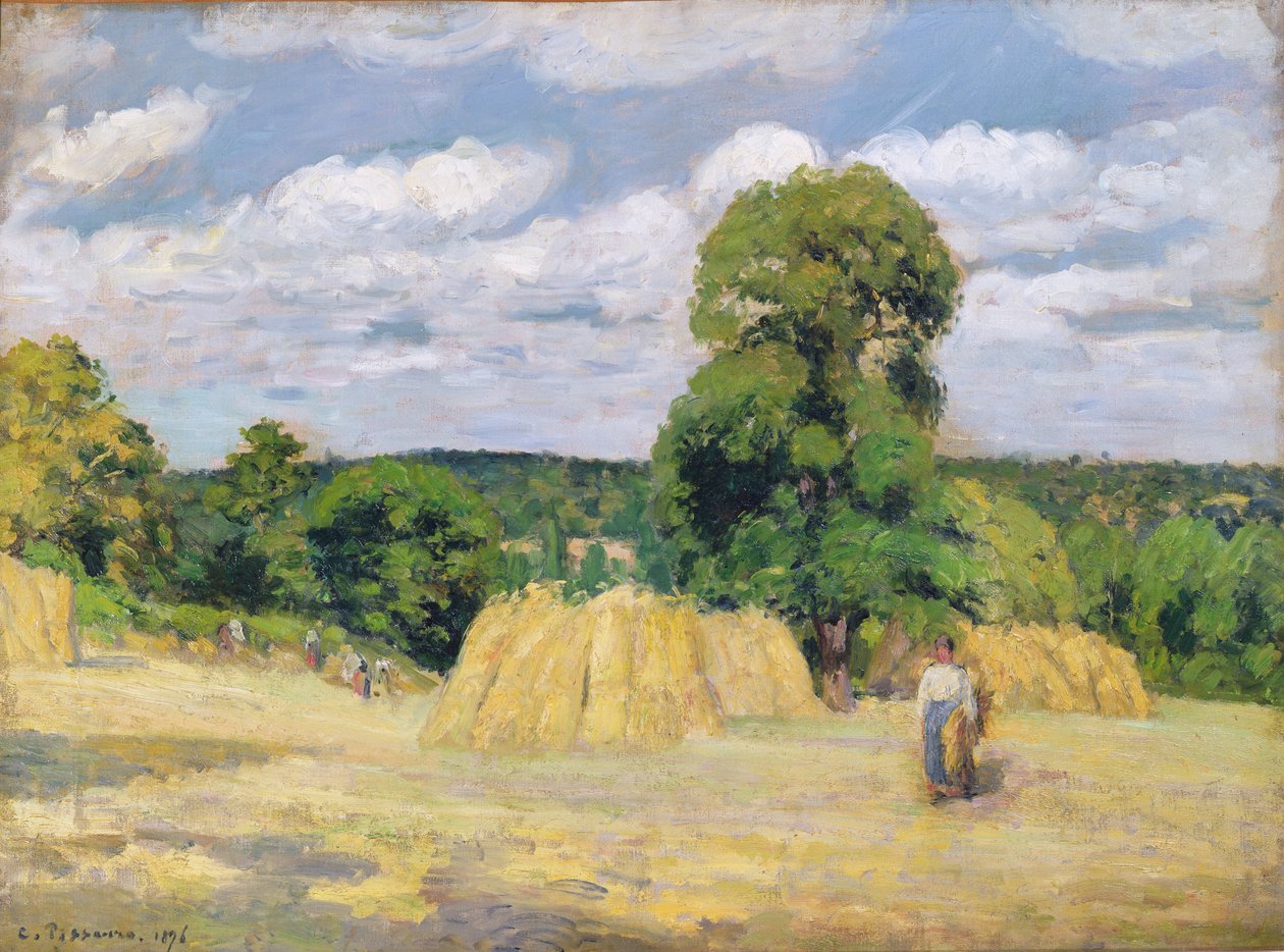په مونټفوکاولټ کې حاصلات، 1876 پولی autorstwa Camille Jacob Pissarro