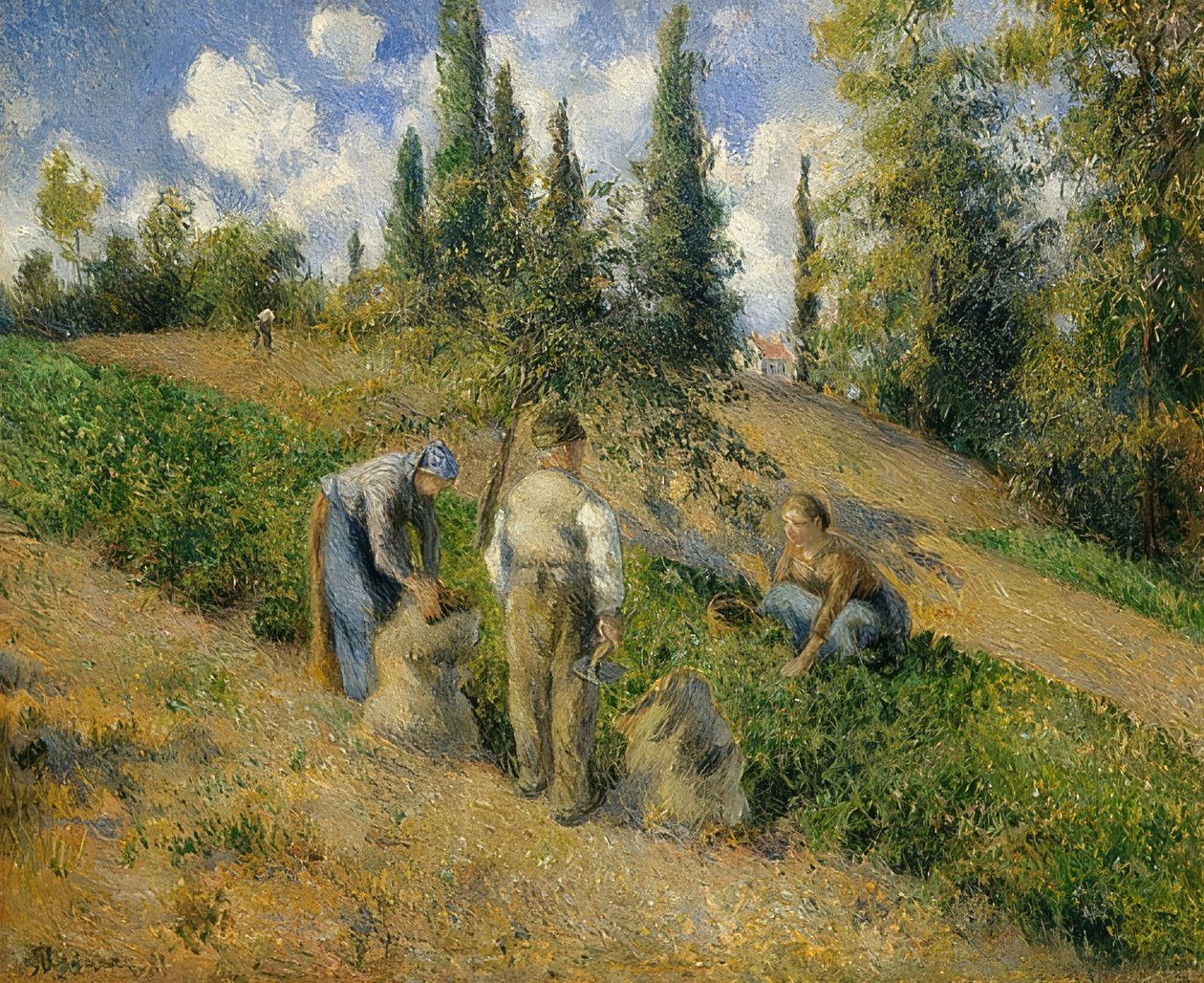 Die Ernte, Pontoise. / Żniwa, Pontoise, 1881 r. autorstwa Camille Jacob Pissarro