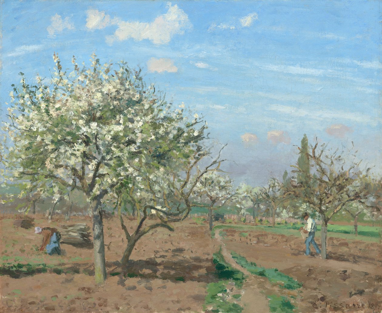Sad w Bloom, Louveciennes autorstwa Camille Pissarro
