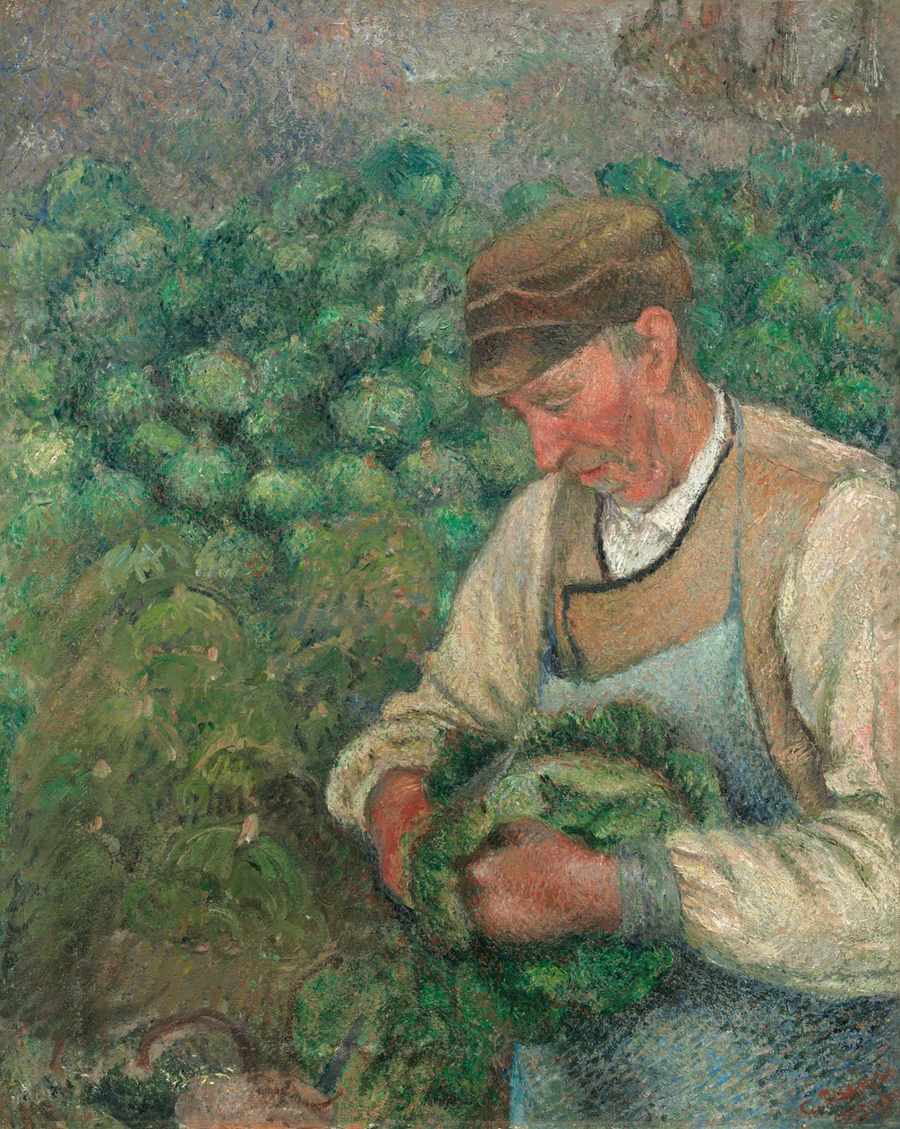 Ogrodnik - Stary Chłop z Kapustą autorstwa Camille Pissarro