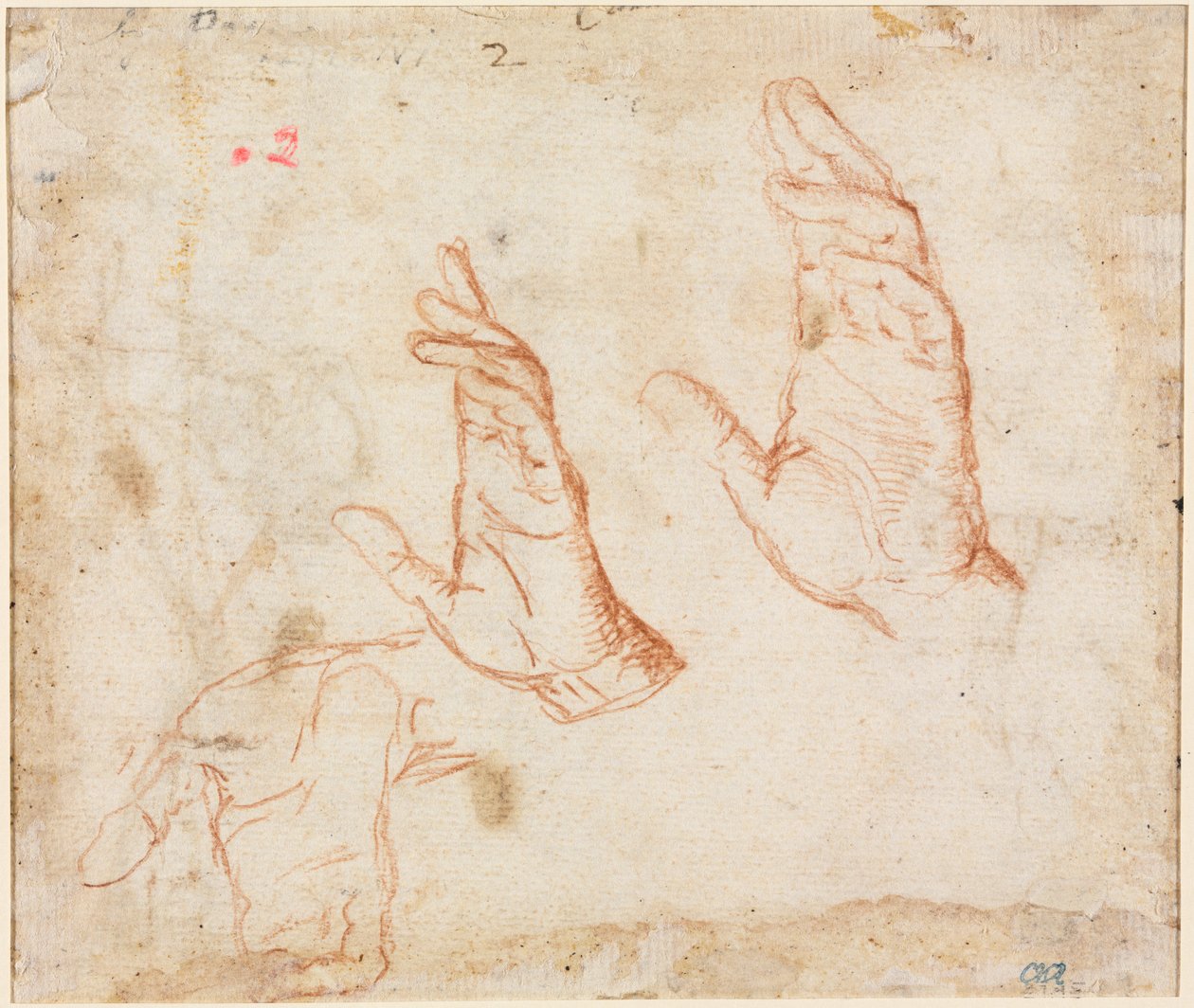 Studium rąk (verso) autorstwa Camillo Procaccini