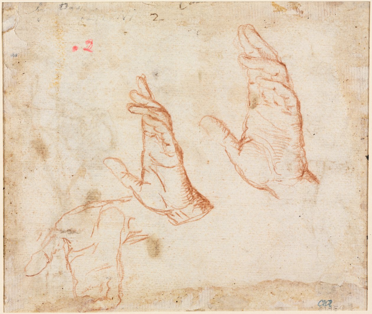 Studium rąk werso, c. 1590. autorstwa Camillo Procaccini