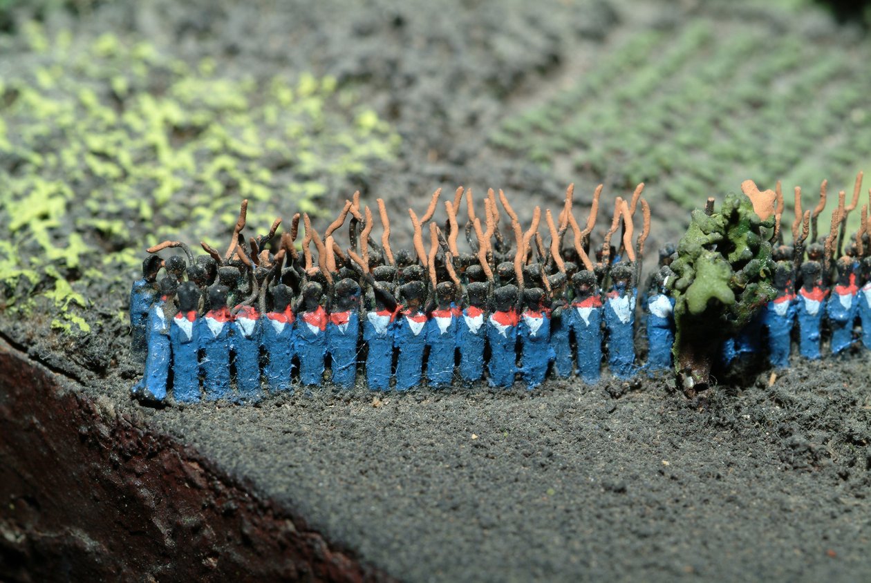 Diorama bitwy pod Waterloo przedstawiająca wojska ustawione na godzinę 19.45 w dniu 18 czerwca 1815 r. (media mieszane) (szczegóły) autorstwa Capt. William Siborne