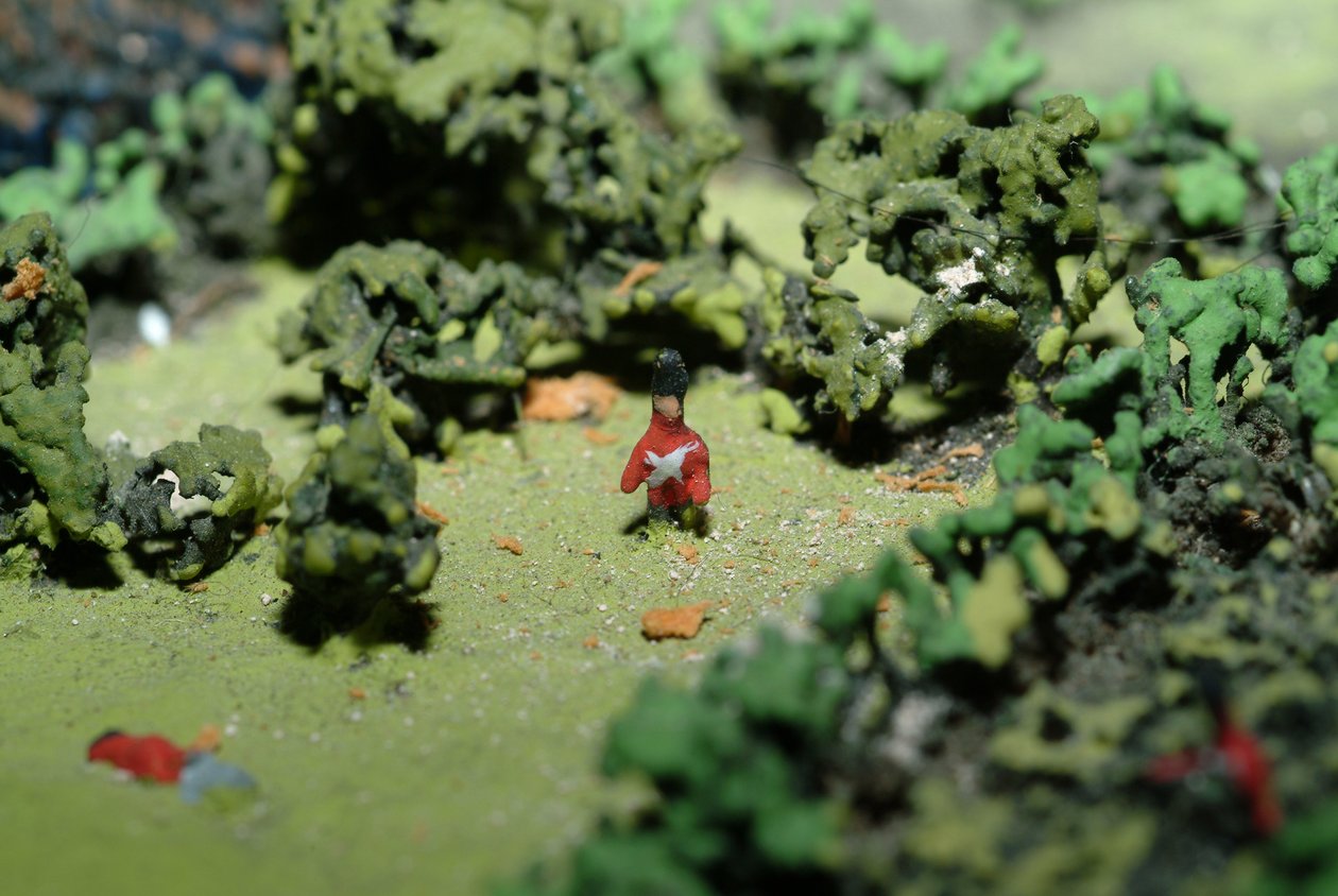 Diorama bitwy pod Waterloo przedstawiająca wojska ustawione na godzinę 19.45 w dniu 18 czerwca 1815 r. (media mieszane) (szczegóły) autorstwa Capt. William Siborne