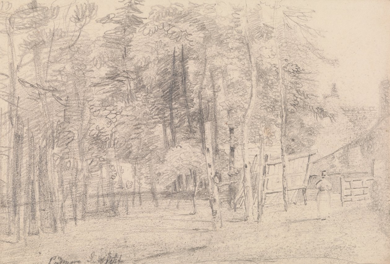 Padmore, Ilha de Wightpolish autorstwa Capt. Thomas Hastings