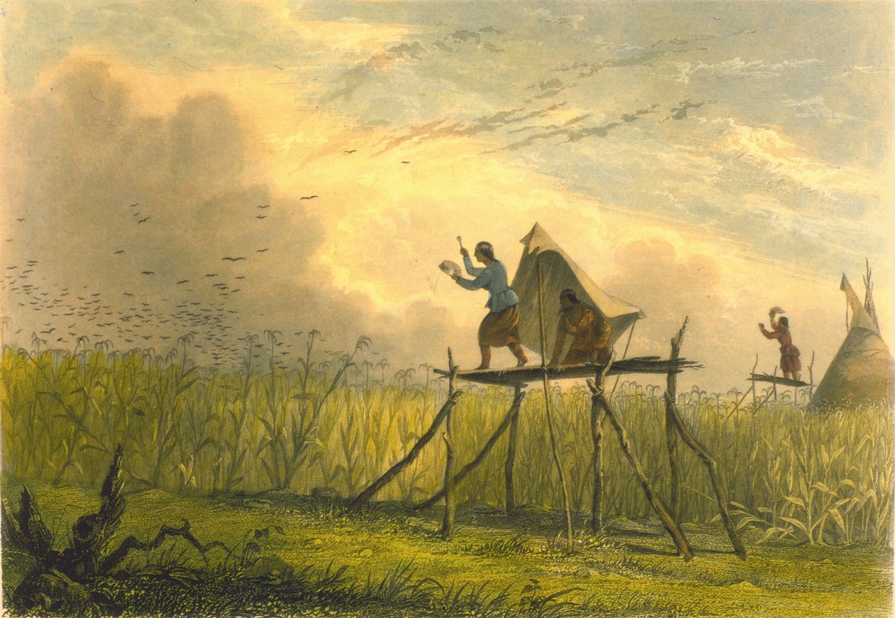 Ochrona pól kukurydzy, 1853 autorstwa Captain Seth Eastman