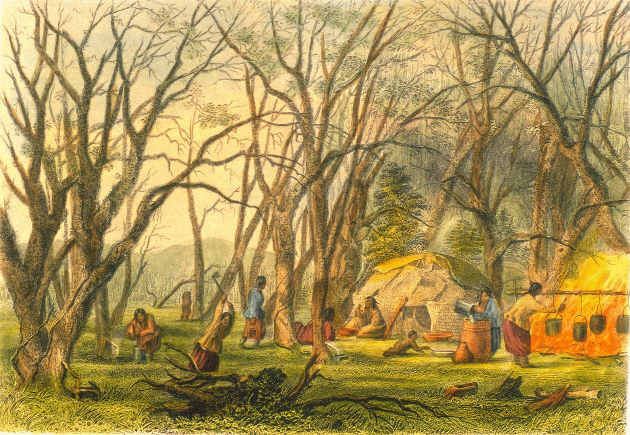 Indiański obóz cukrowniczy, 1853 r. autorstwa Captain Seth Eastman