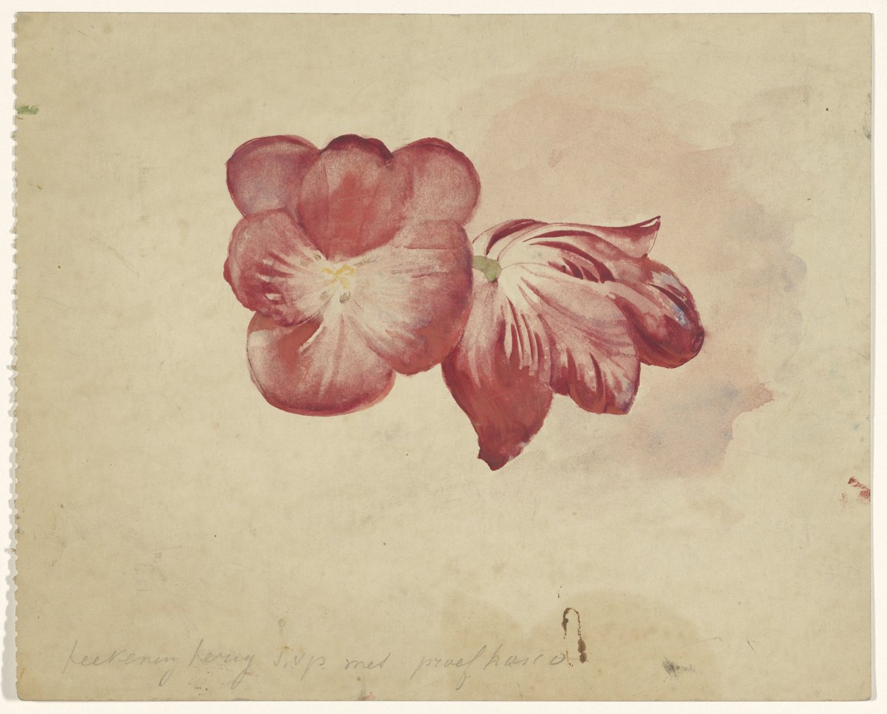 Dwa czerwone tulipany autorstwa Carel Adolph Lion Cachet
