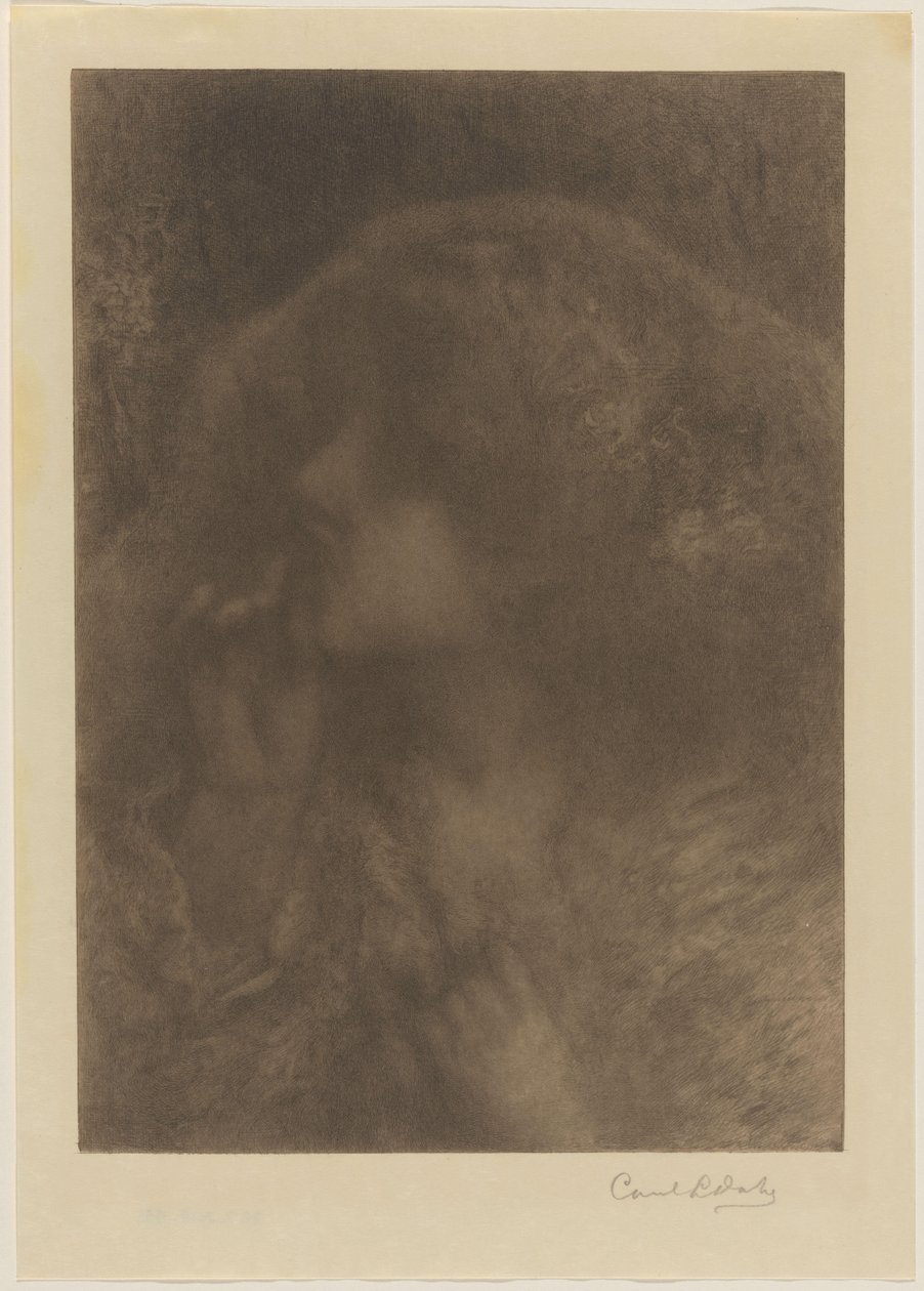 panna młoda autorstwa Carel Lodewijk Dake (signed by artist)