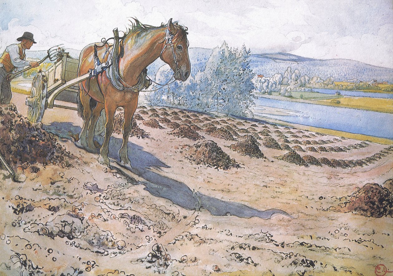 Rozrzucanie obornika na ugorowanym polu autorstwa Carl Larsson