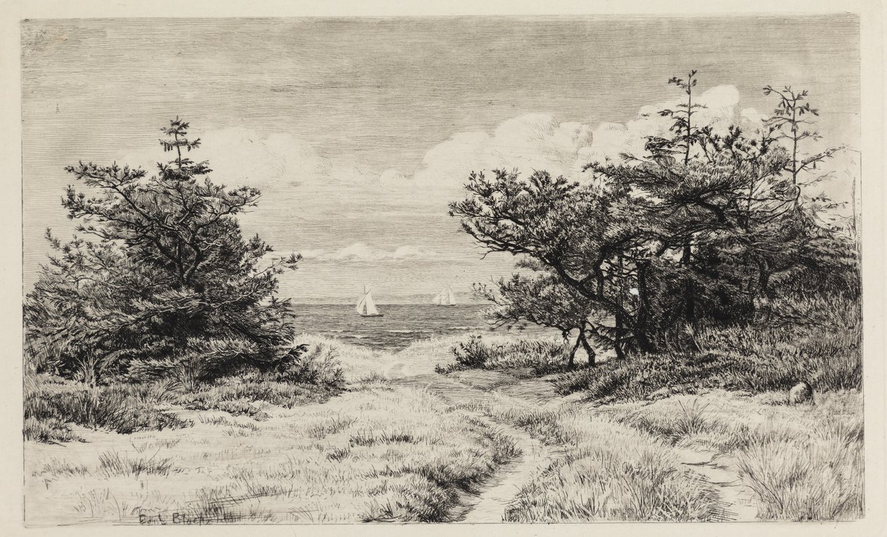 Widok na morze autorstwa Carl Bloch