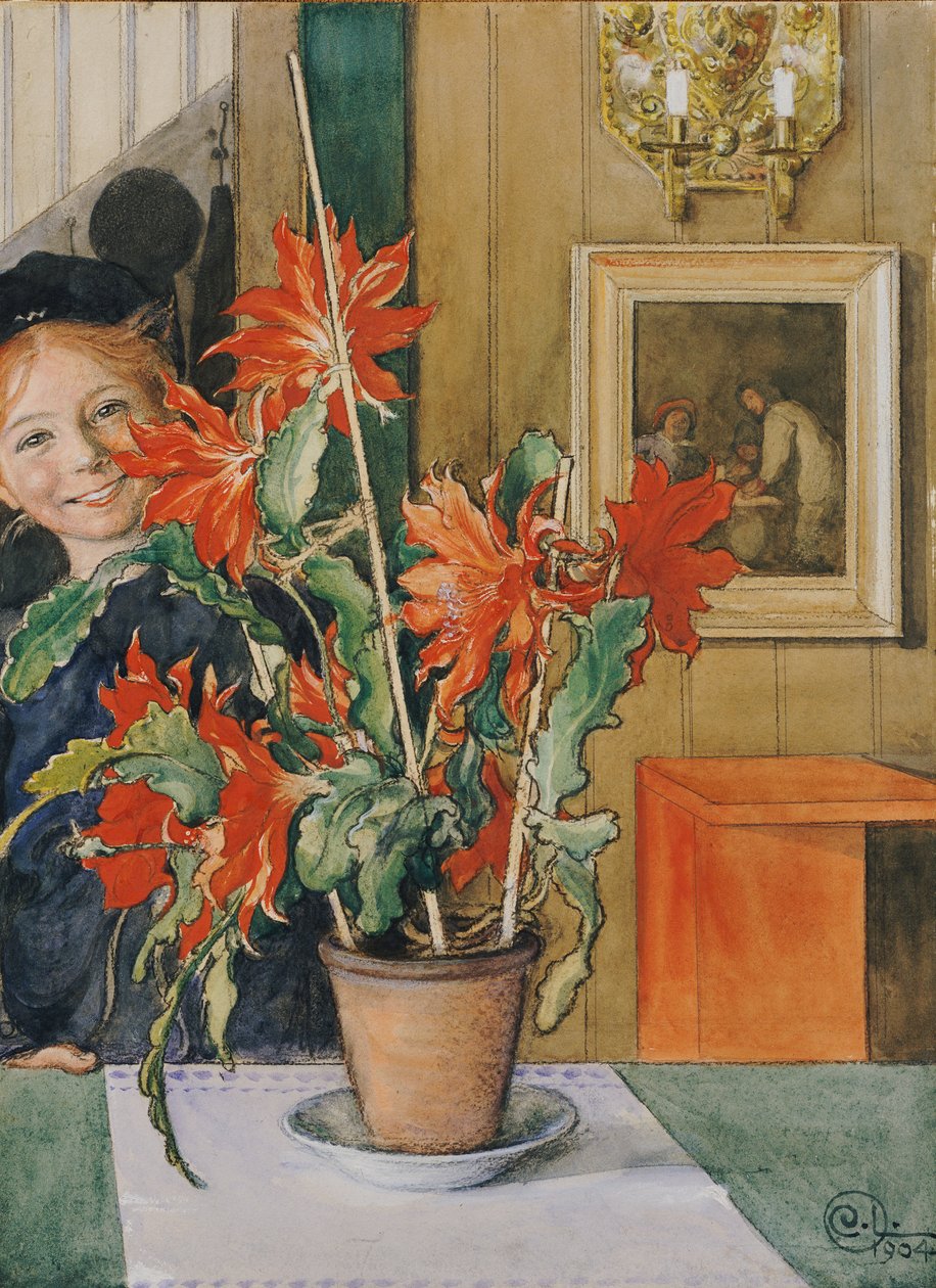 Kaktus Brity, 1904 autorstwa Carl Larsson
