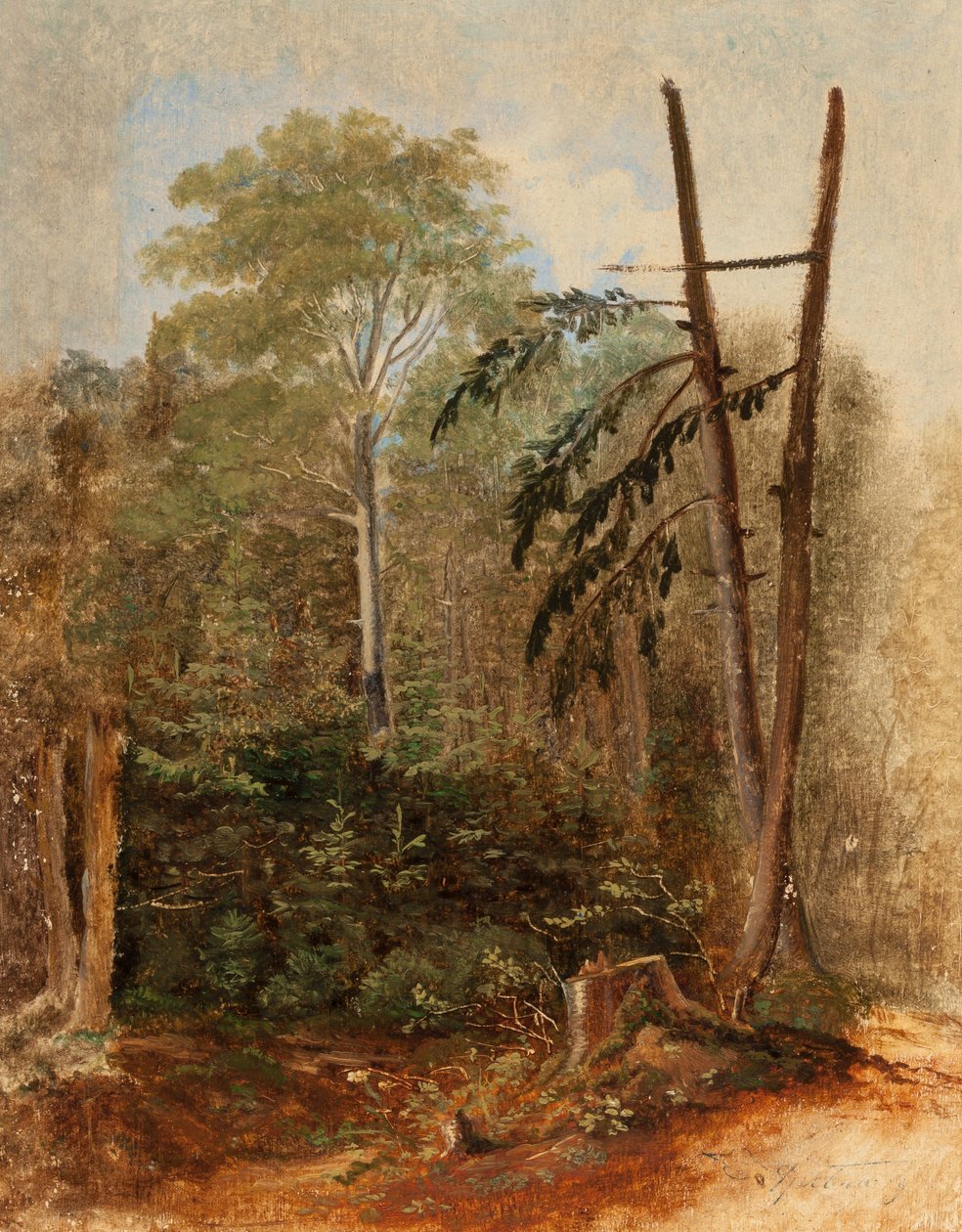 Studium krajobrazu leśnego autorstwa Carl Spitzweg
