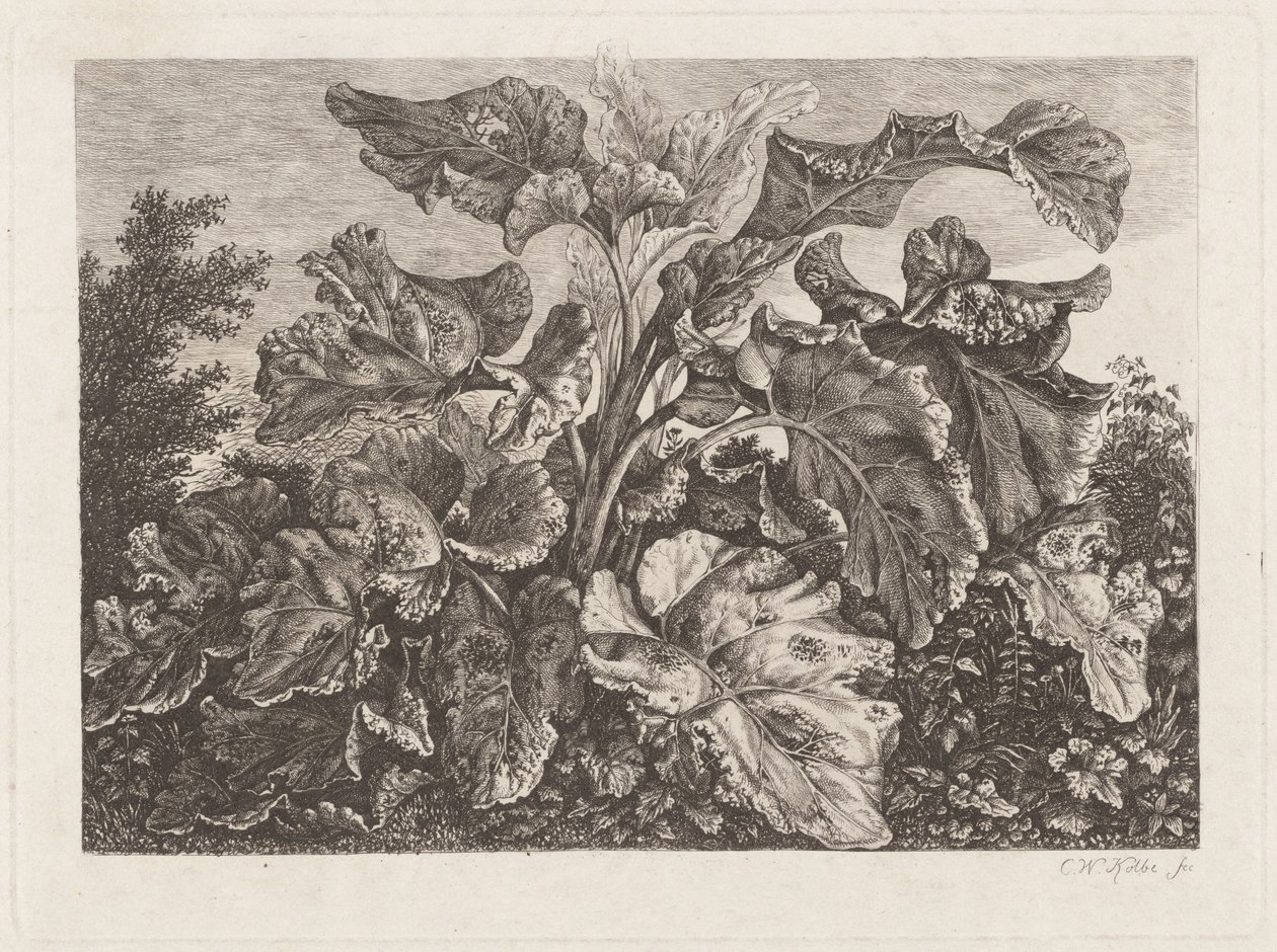 Badanie roślin z łopianem autorstwa Carl Wilhelm Kolbe