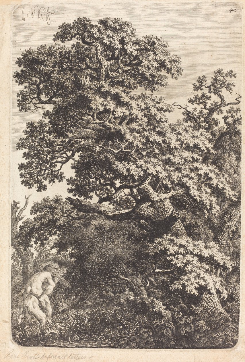 Satyr i nimfa na bagnach autorstwa Carl Wilhelm Kolbe