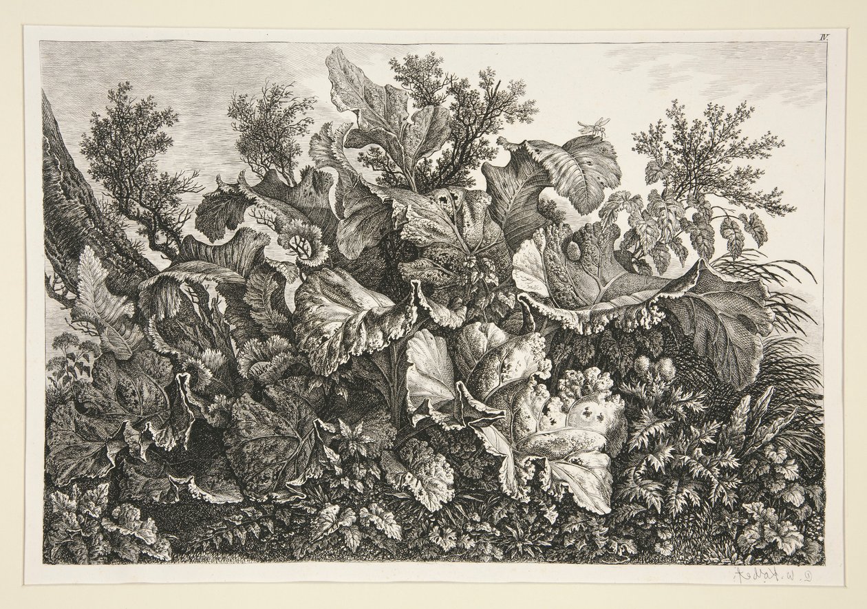 Krajobraz autorstwa Carl Wilhelm Kolbe the elder