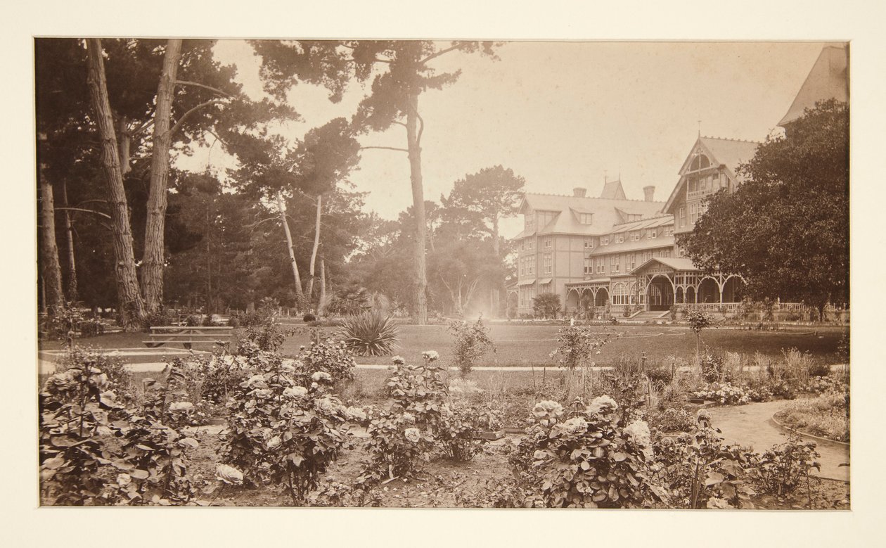 Hotel del Monte, Monterey, Ogród Różany autorstwa Carleton E. Watkins