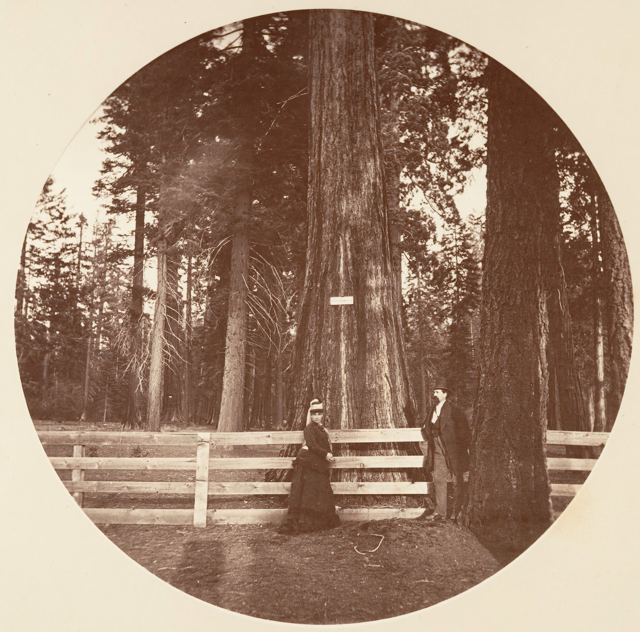 Auld Reckie. C. Gaj, ca. 1878. autorstwa Carleton Emmons Watkins