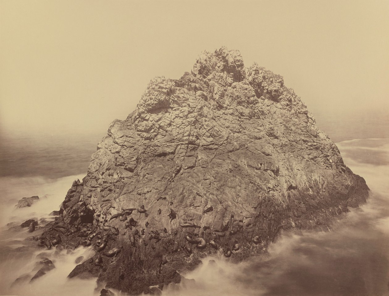 Wyspa Sugar Loaf, Farallons, 1868/1869 (zdjęcie) autorstwa Carleton Emmons Watkins
