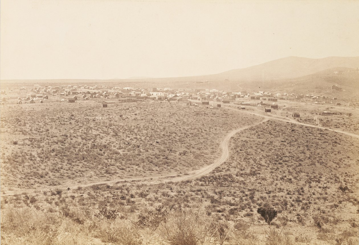 [Tombstone, Arizona] autorstwa Carleton Watkins