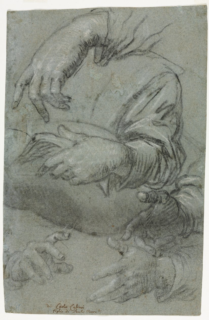 Studia Hands recto, c. 1586. autorstwa Carletto Caliari