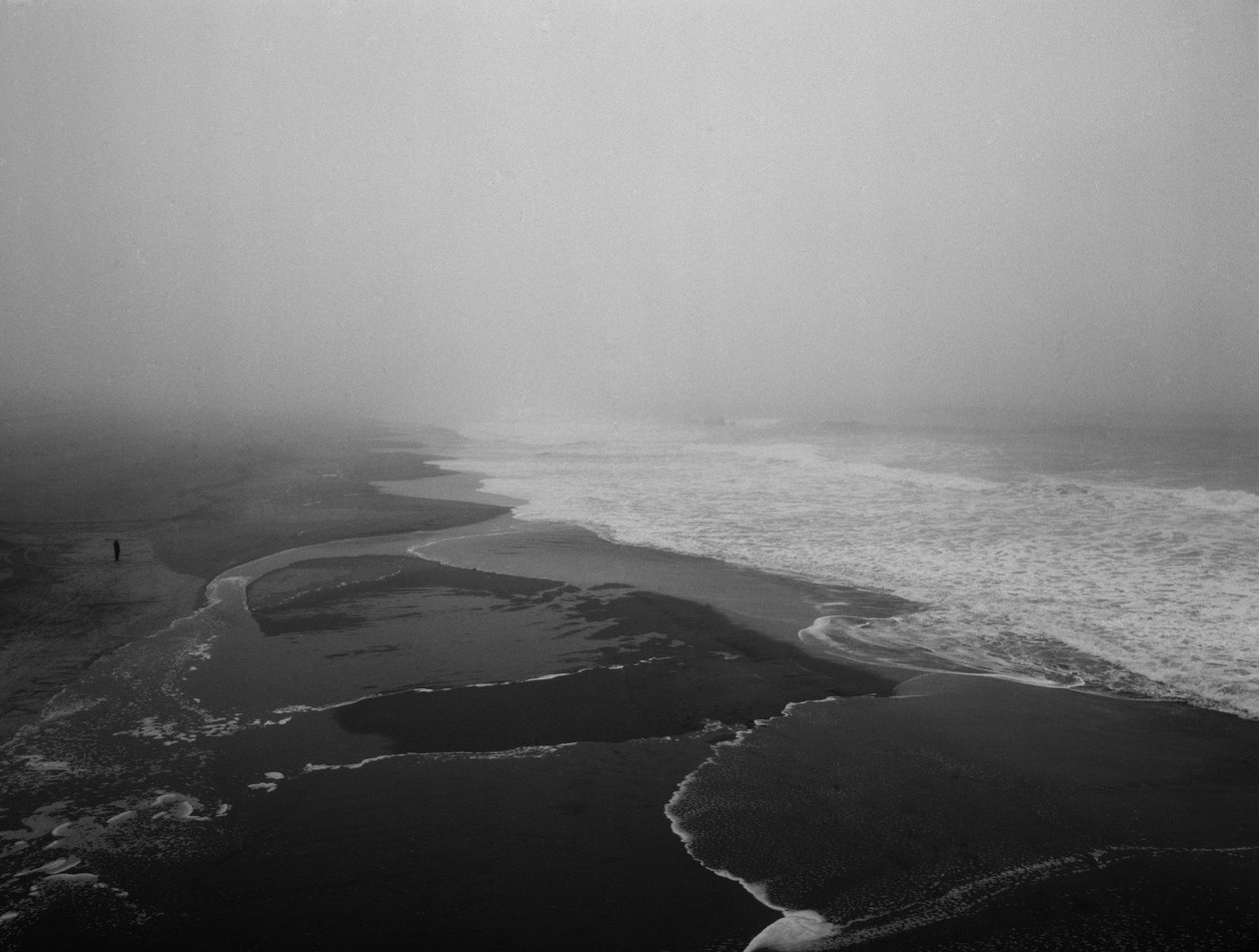 Forever at the Sea, 2012 autorstwa Carli Choi