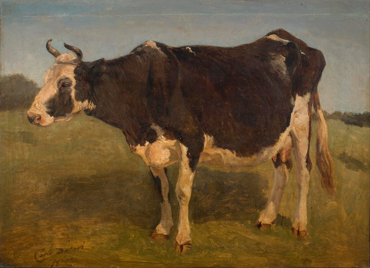 Czarno-biała krowa stojąca. Badanie. autorstwa Carlo Dalgas