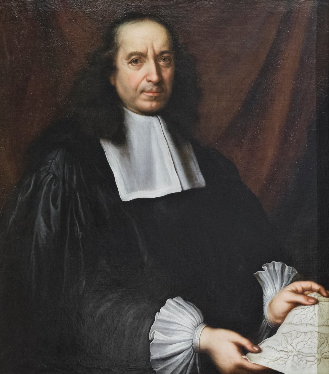 Portret Marcella Malpighiego (obraz) autorstwa Carlo Cignani