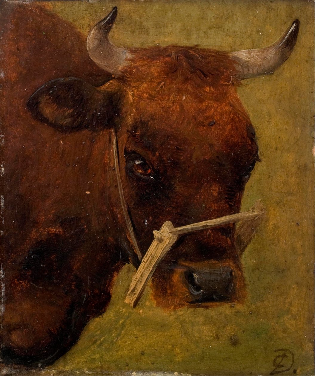 Głowa krowy. Opracowanie. autorstwa Carlo Dalgas