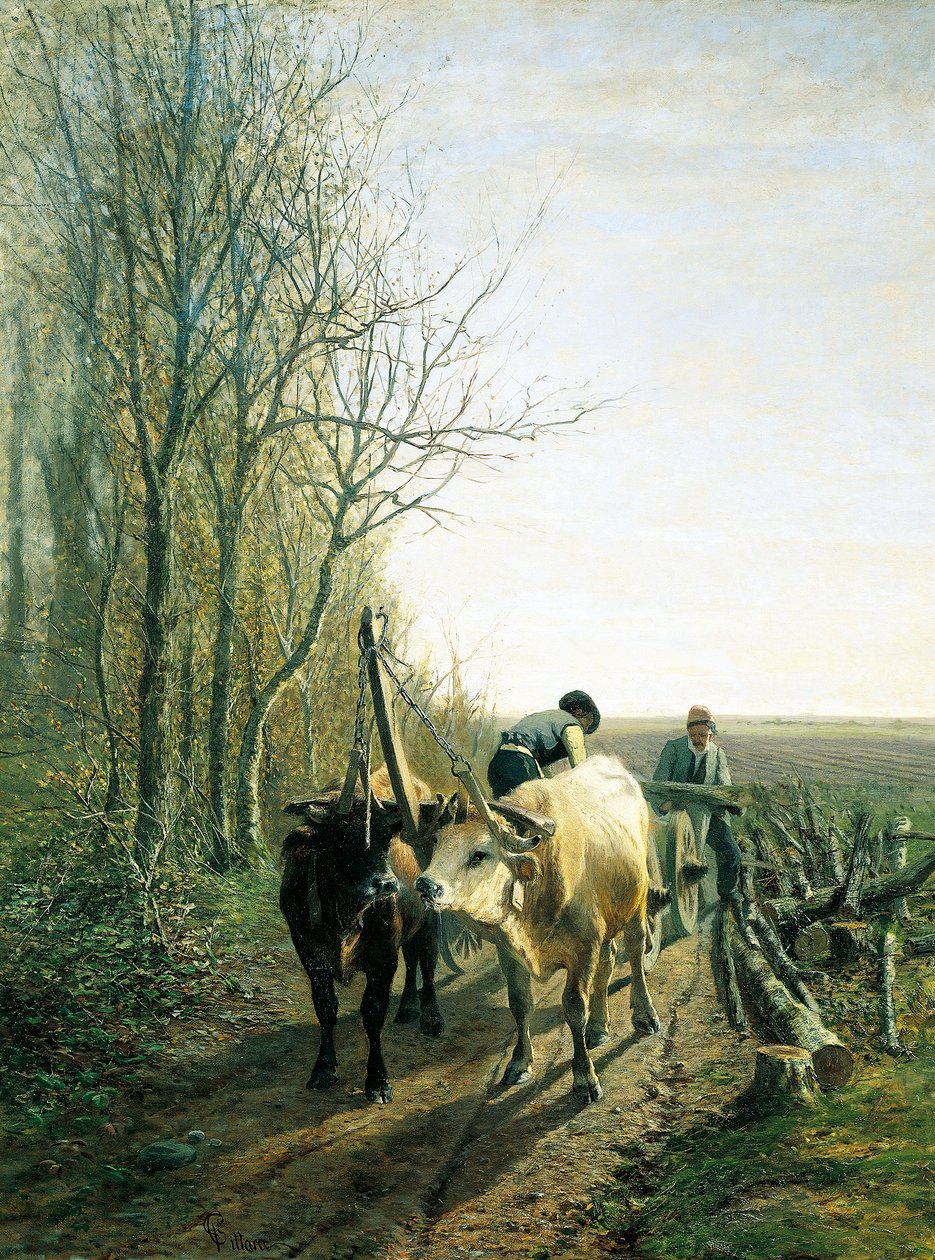 Przewidywany podatek (woły zaprzężone do wozu) autorstwa Carlo Pittara