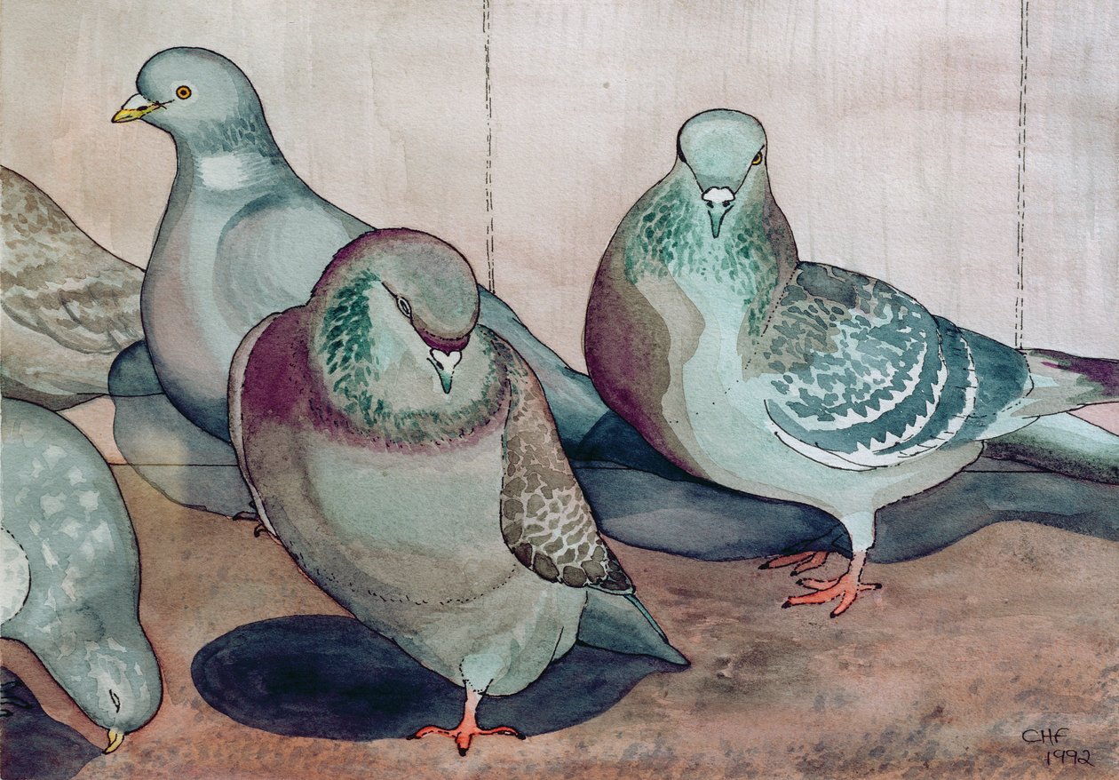 Gołębie (wc na papierze) autorstwa Carolyn Hubbard Ford