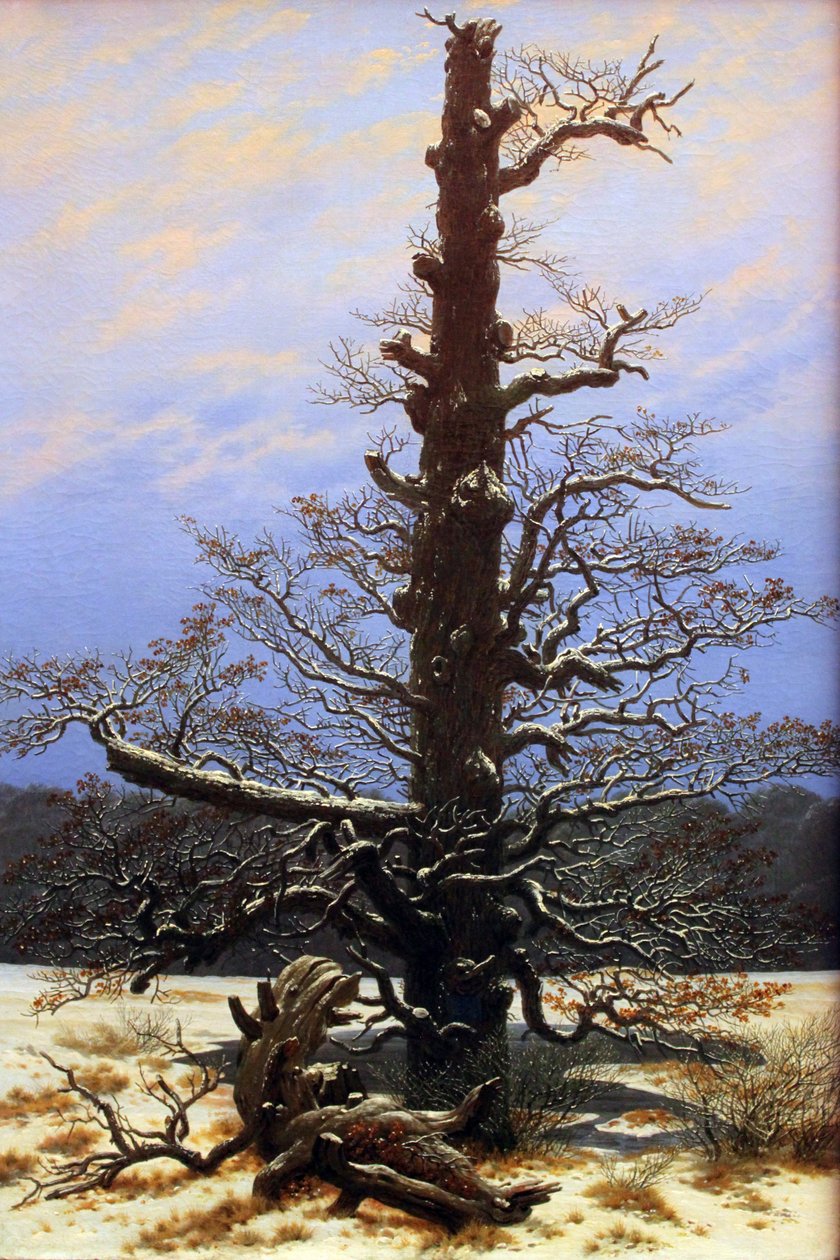 Dąb na śniegu autorstwa Caspar David Friedrich