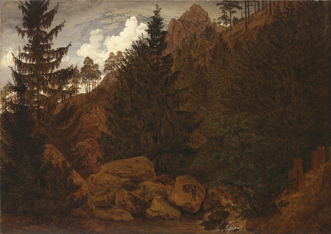 Sekcja skalna w górach Harz autorstwa Caspar David Friedrich