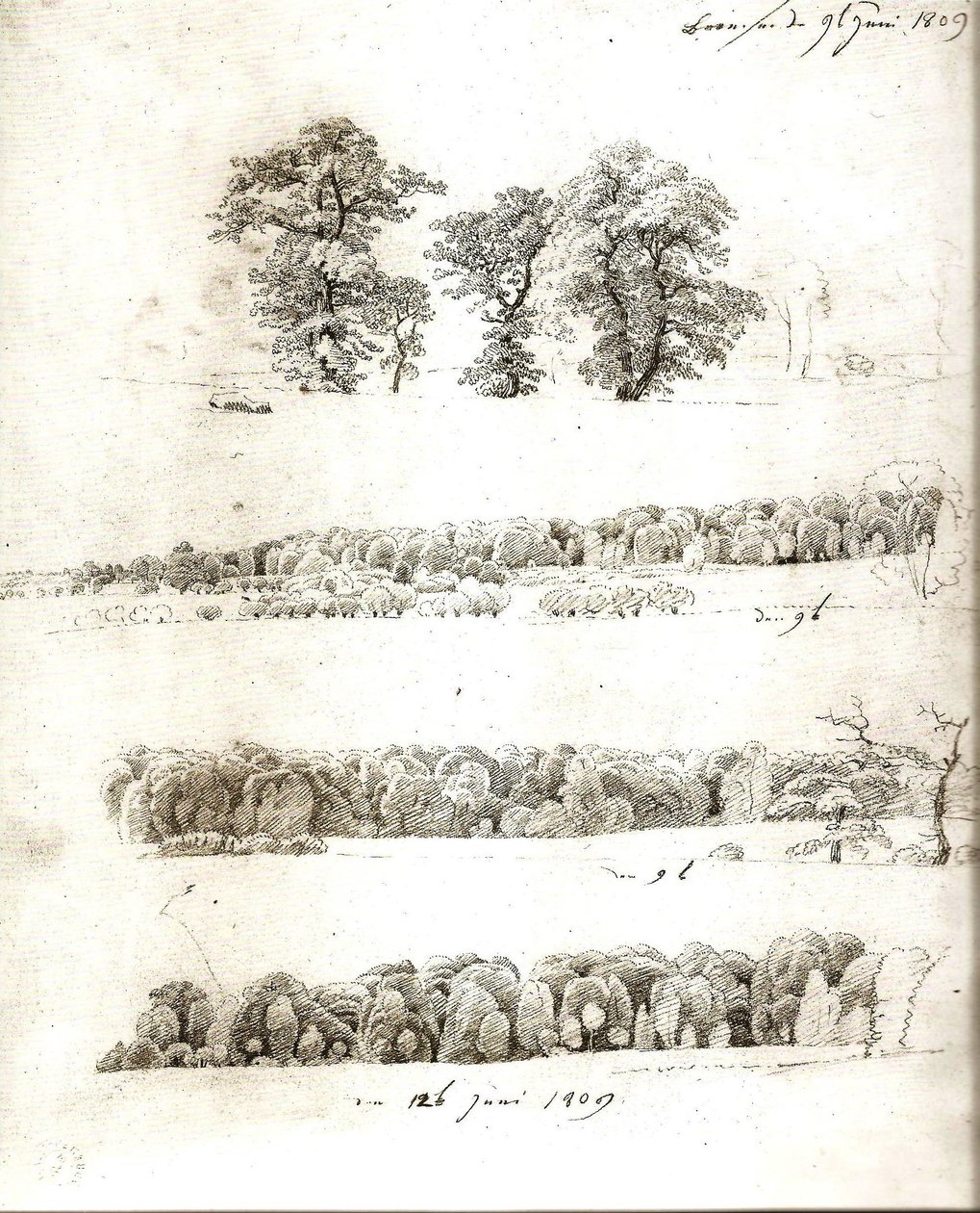 Badania drzew 1809 autorstwa Caspar David Friedrich