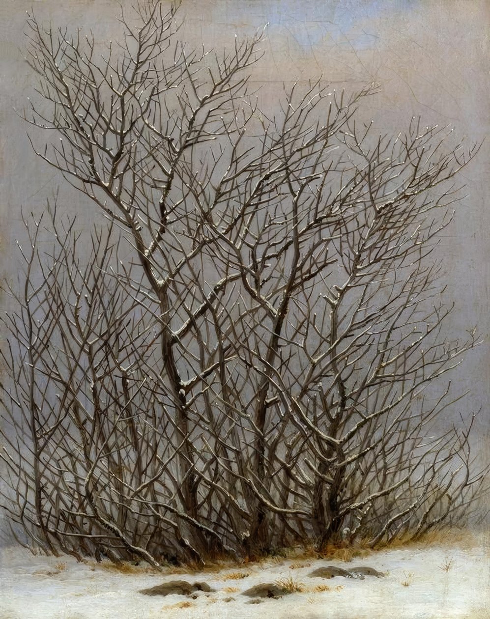 Krzewy na śniegu autorstwa Caspar David Friedrich
