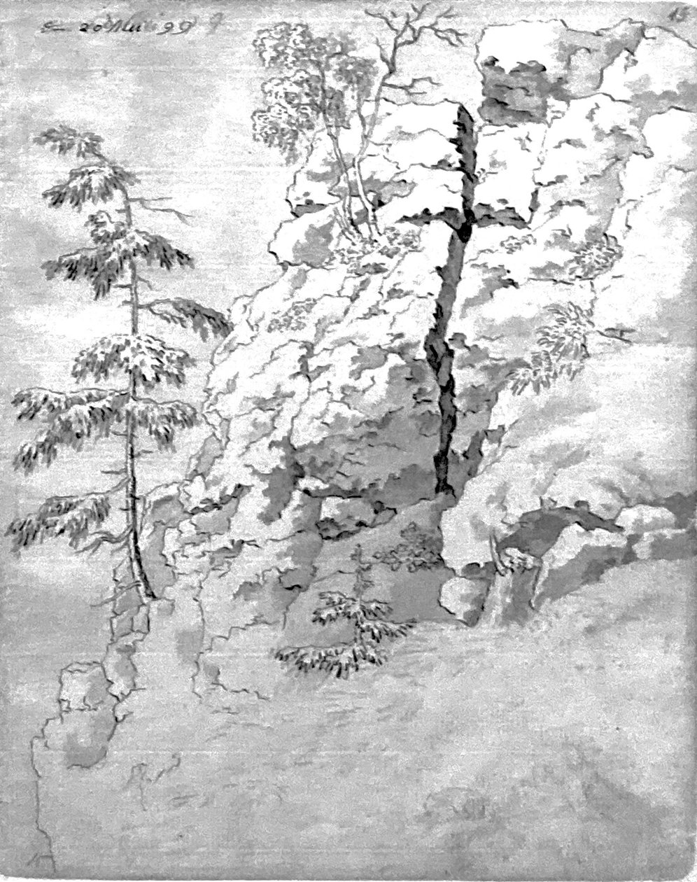 Skaliste zbocze z drzewami autorstwa Caspar David Friedrich