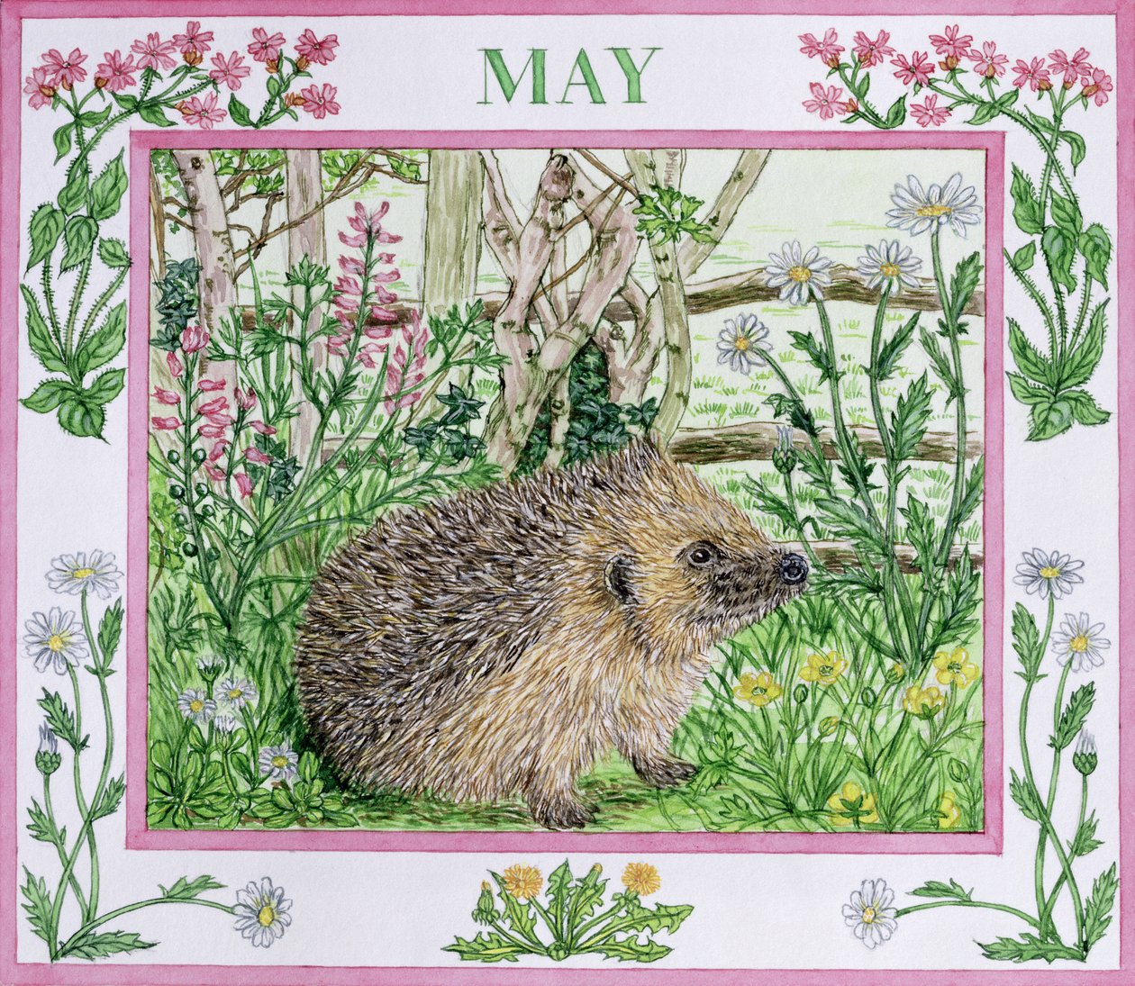maj (wc na papierze) autorstwa Catherine Bradbury